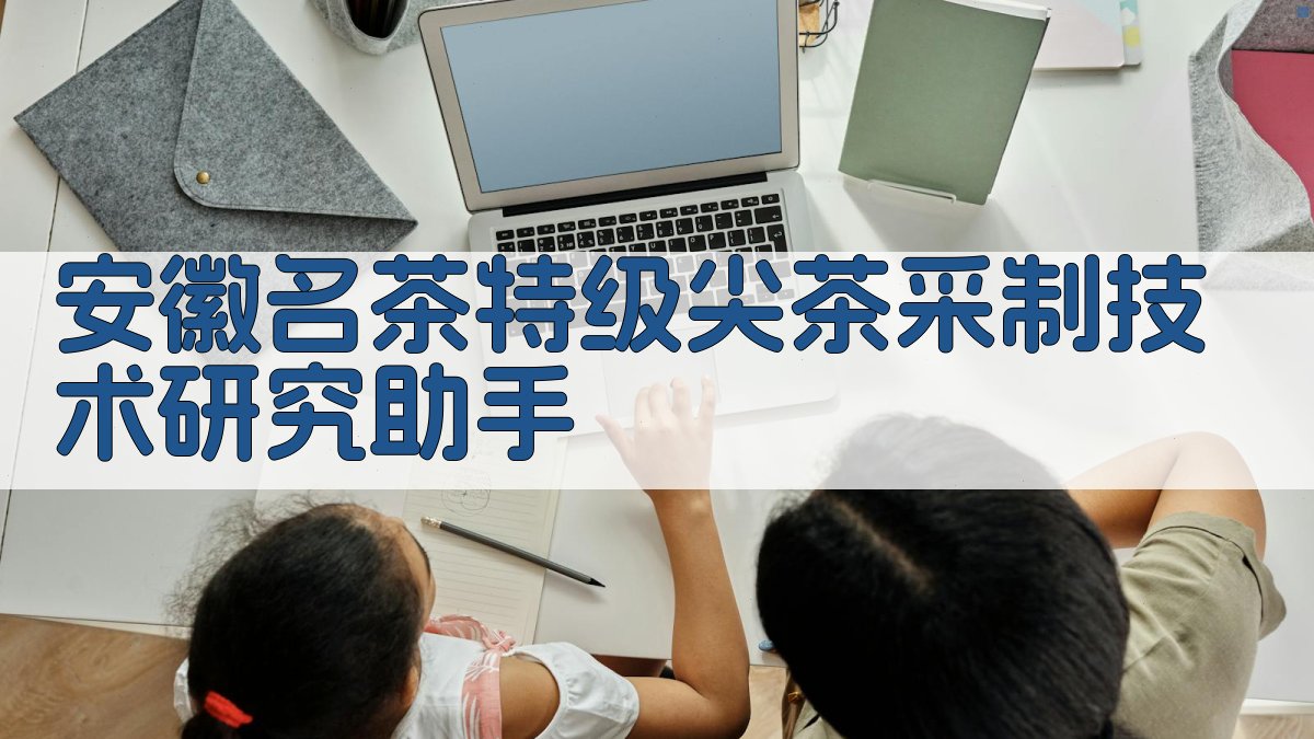 安徽名茶特级尖茶采制技术研究助手