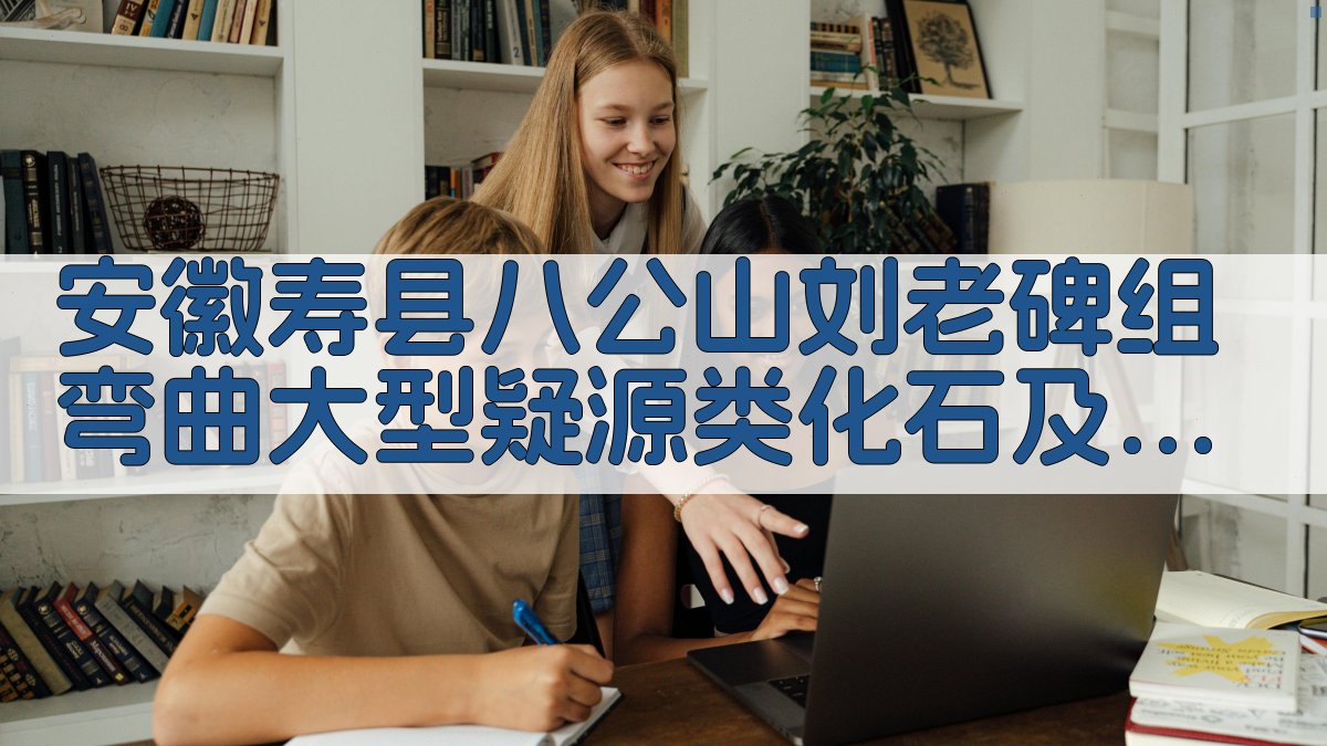 安徽寿县八公山刘老碑组弯曲大型疑源类化石及其数学模拟研究分析工具