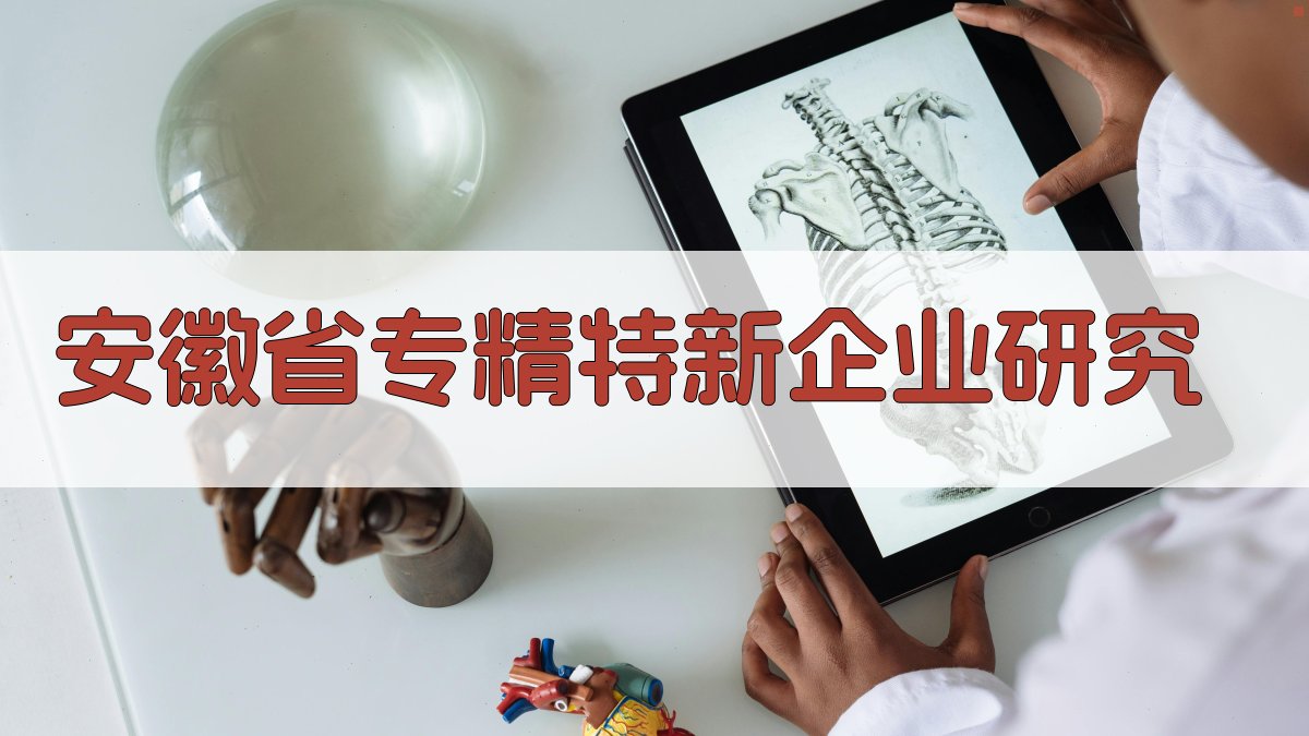 安徽省专精特新企业研究