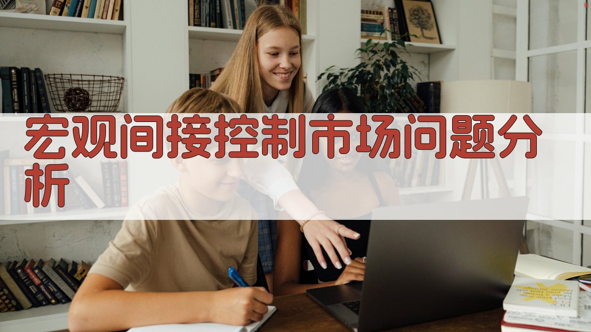 宏观间接控制市场问题分析