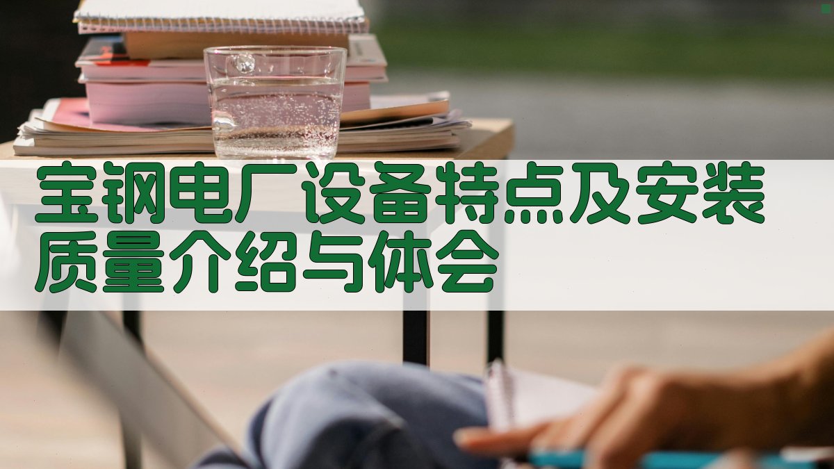 宝钢电厂设备特点及安装质量介绍与体会