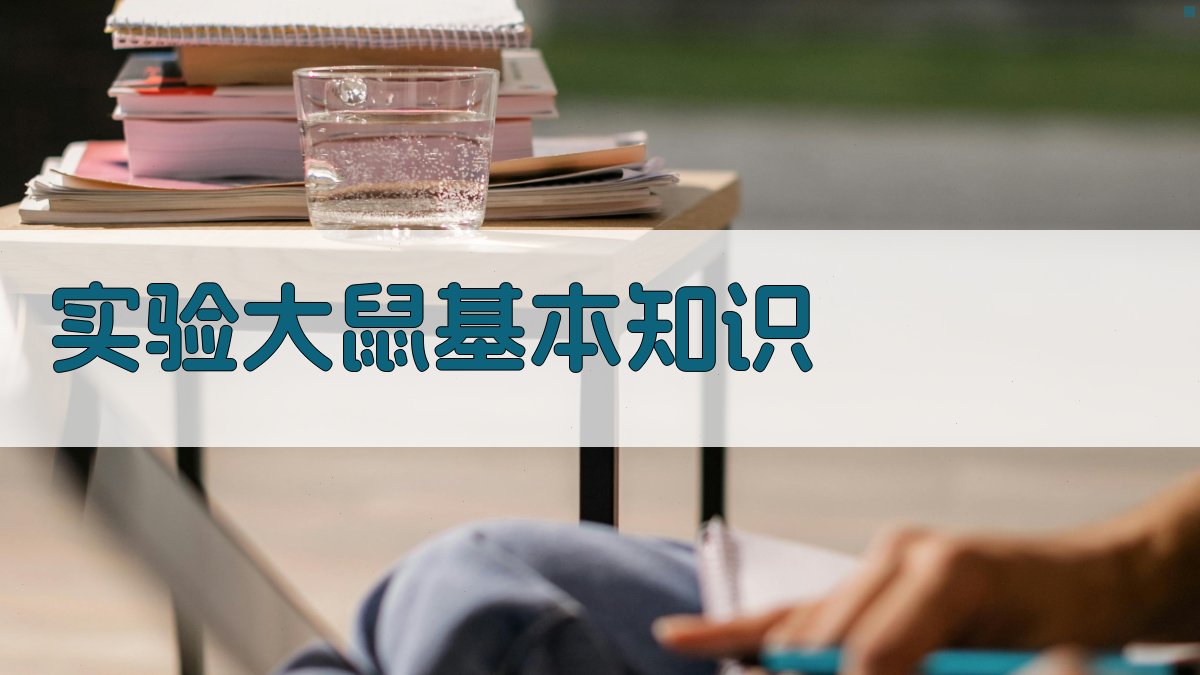 实验大鼠基本知识