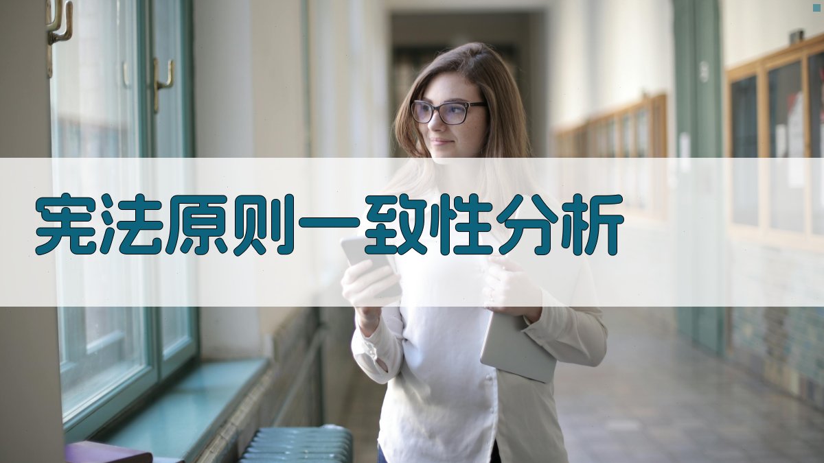 宪法原则一致性分析