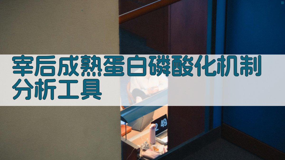 宰后成熟蛋白磷酸化机制分析工具