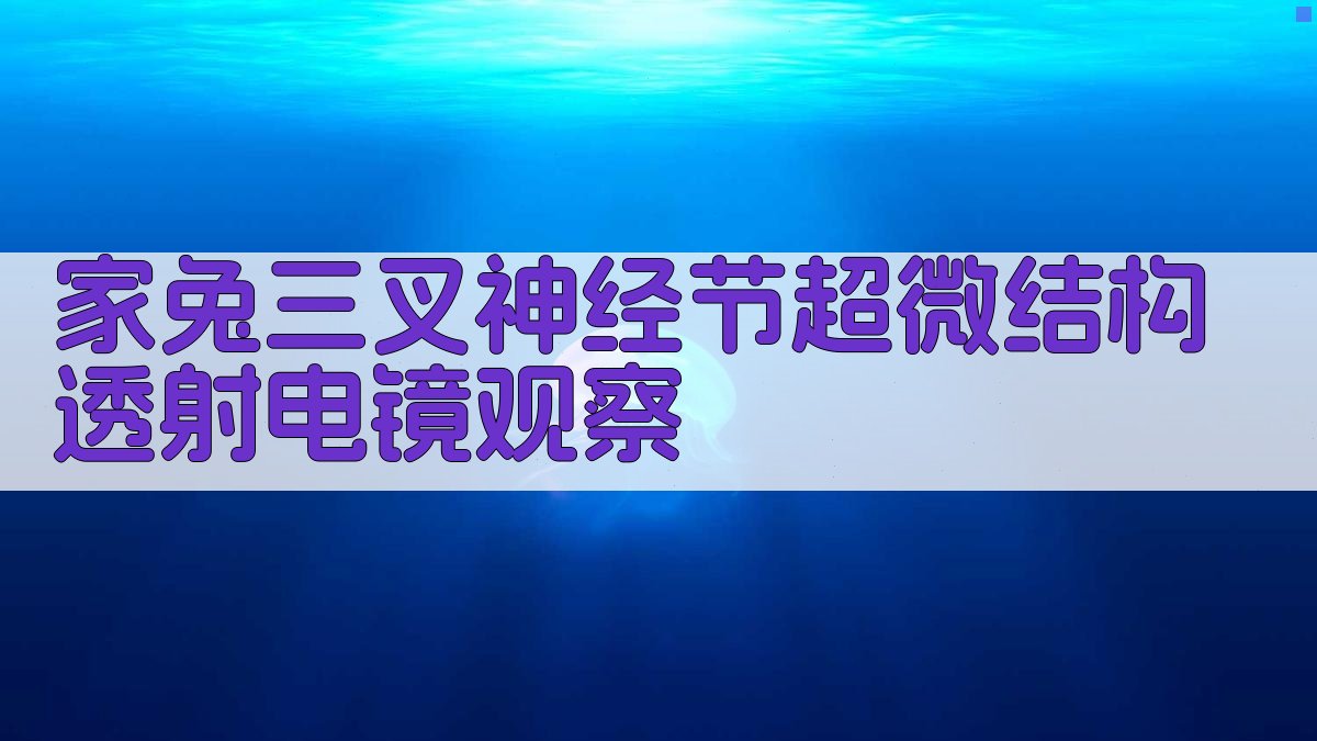 家兔三叉神经节超微结构透射电镜观察