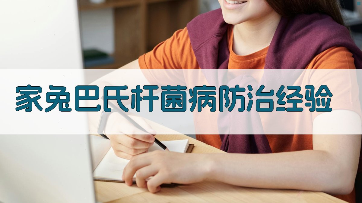 AI家兔巴氏杆菌病防治经验分析