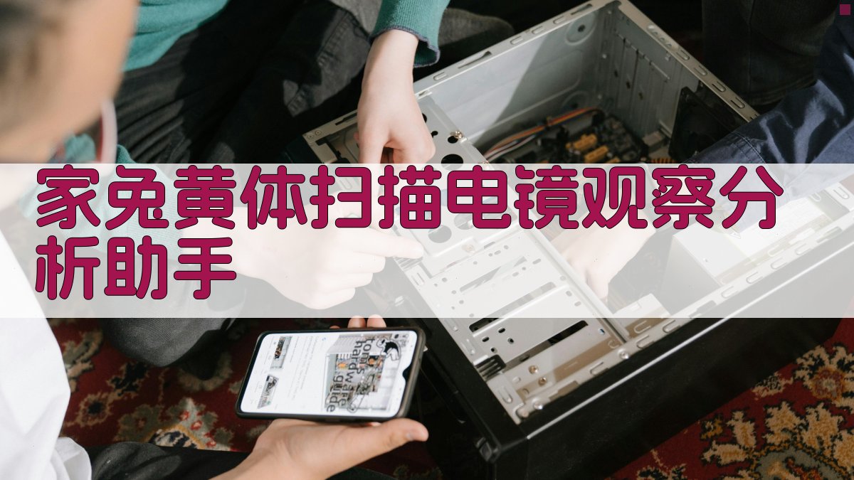家兔黄体扫描电镜观察分析助手