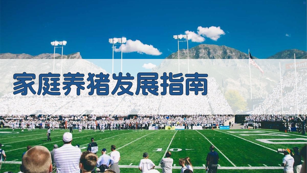 AI家庭养猪发展指南