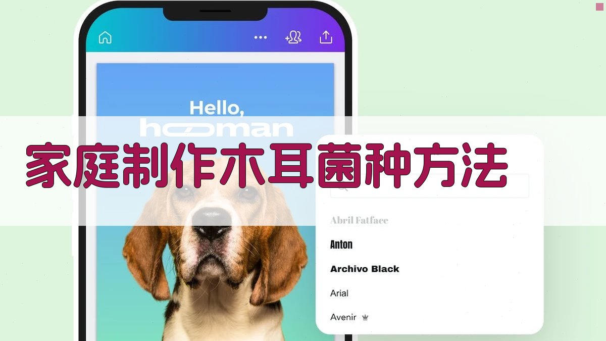 家庭制作木耳菌种方法