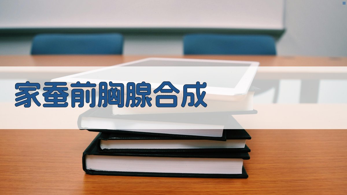 家蚕前胸腺合成分析