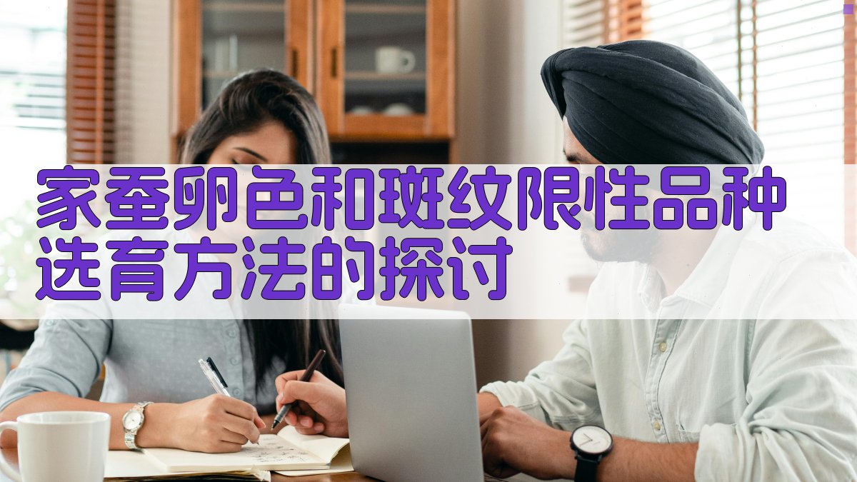 家蚕卵色和斑纹限性品种选育方法研究助手