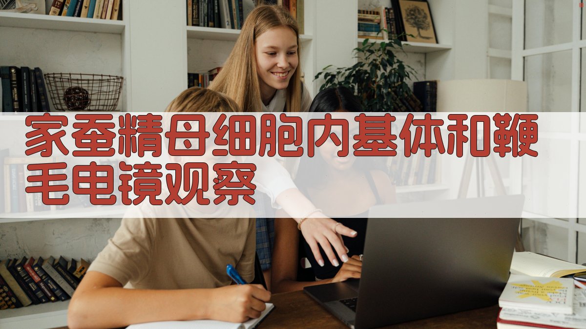 家蚕精母细胞内基体和鞭毛电镜观察