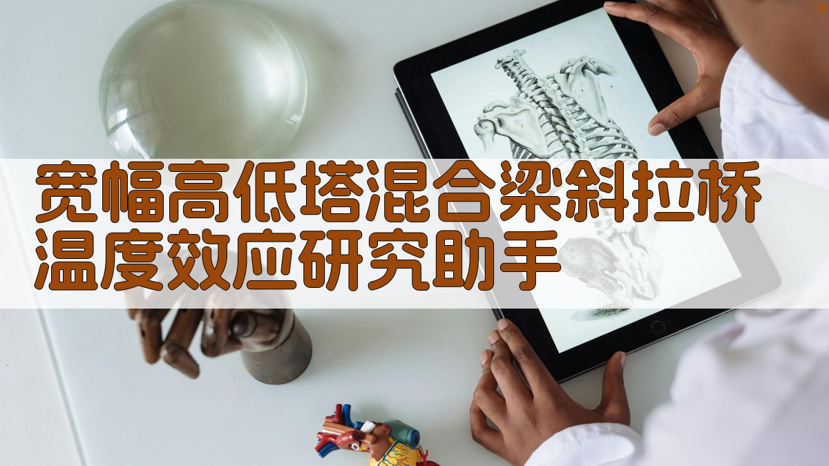 AI桥梁分析工具