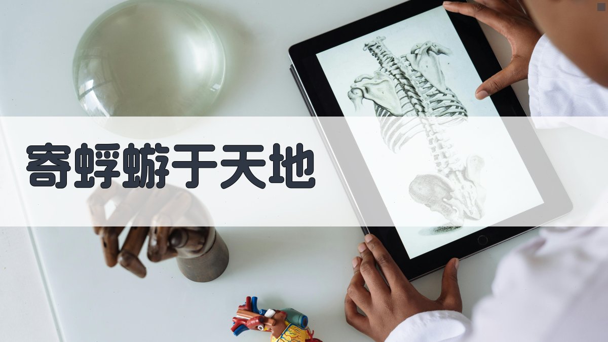 AI寄蜉蝣于天地散文生成