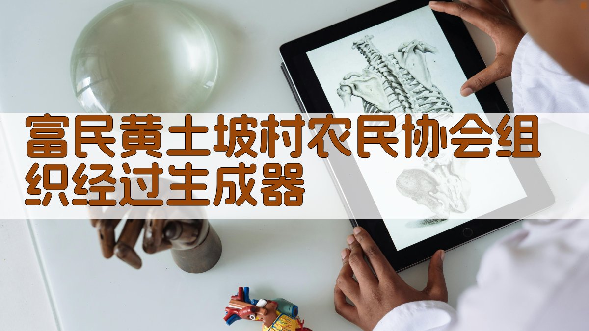 富民黄土坡村农民协会组织经过生成器