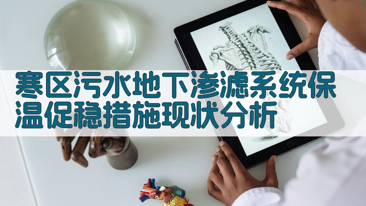 寒区污水地下渗滤系统保温促稳措施现状分析