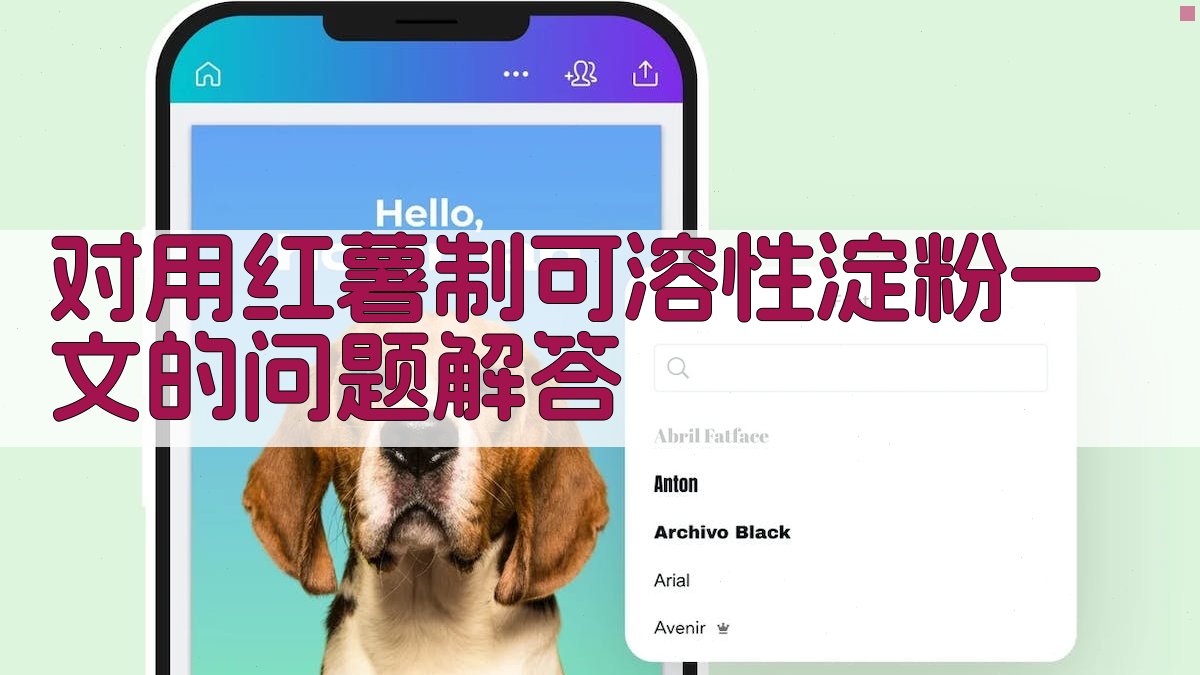 红薯淀粉加工问答