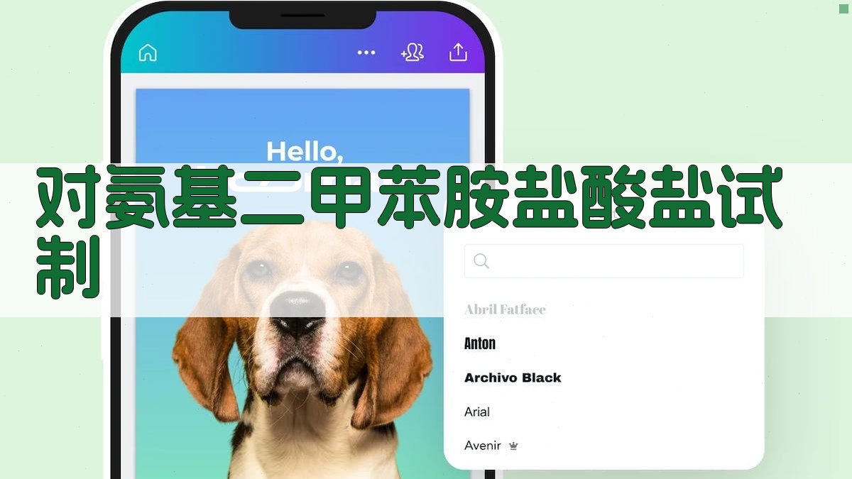 AI对氨基二甲苯胺盐酸盐试制分析工具