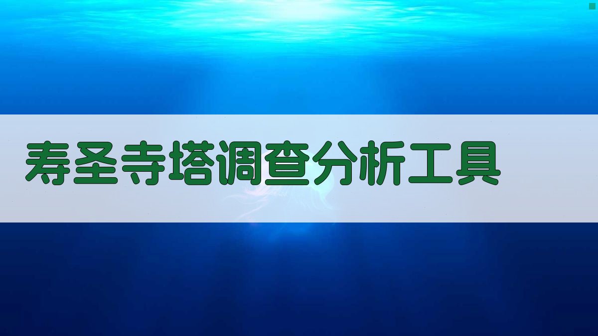 寿圣寺塔调查分析工具