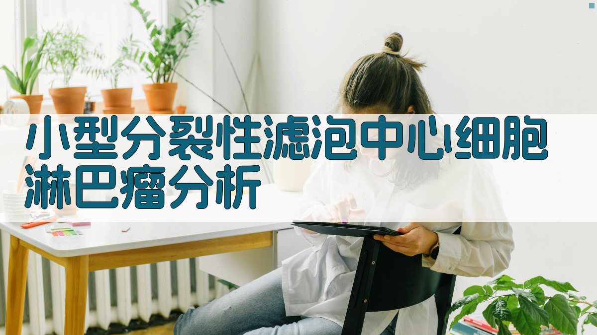 AI小型分裂性滤泡中心细胞淋巴瘤分析工具