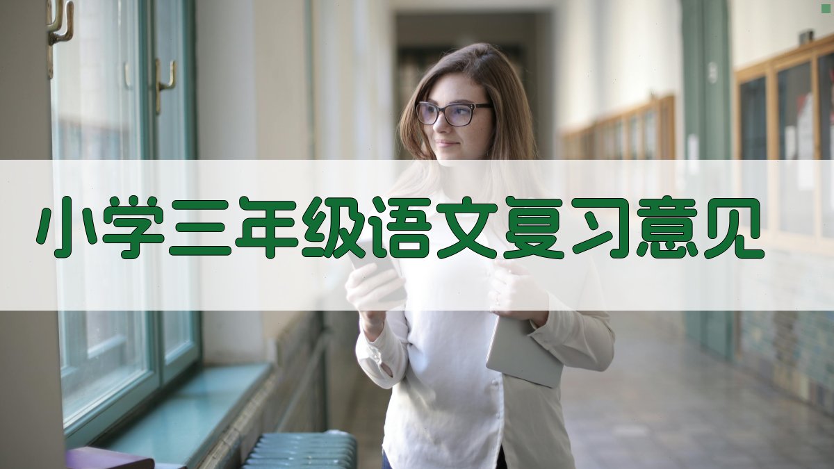 小学三年级语文复习意见