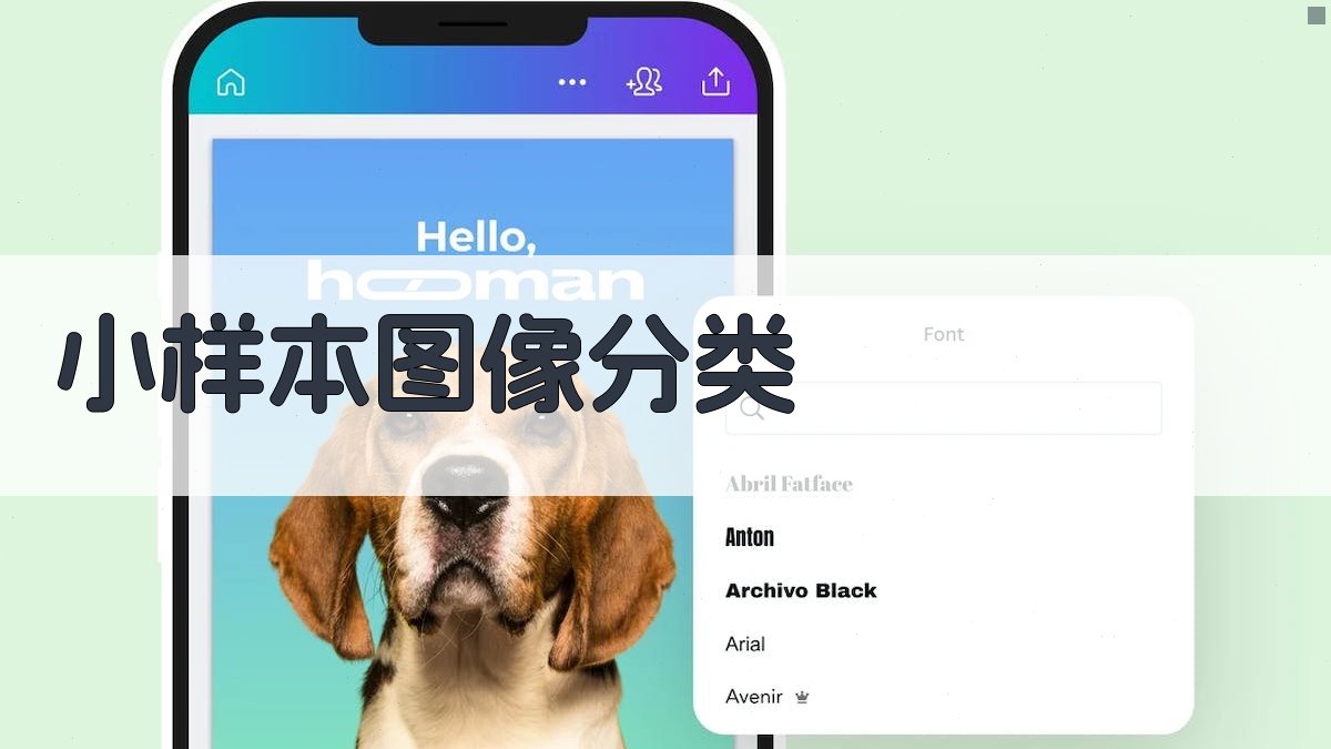 AI小样本图像分类