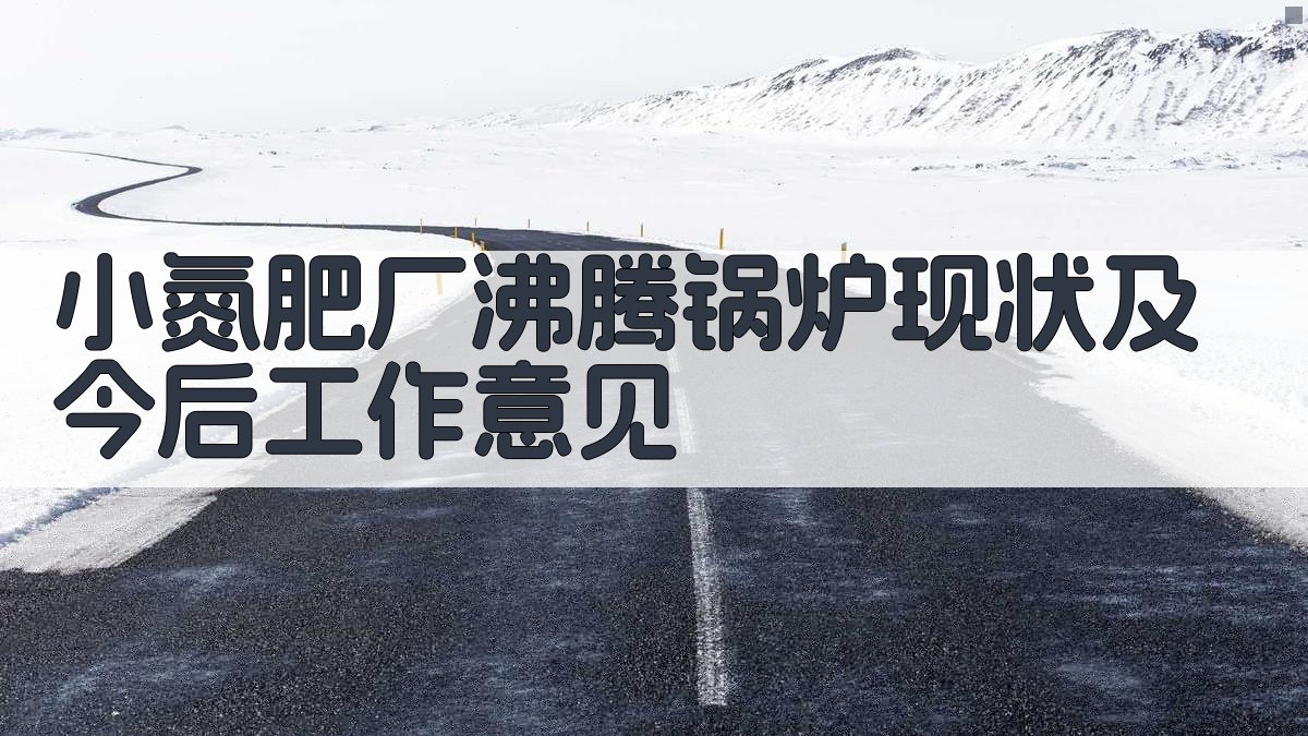 小氮肥厂沸腾锅炉现状及今后工作意见