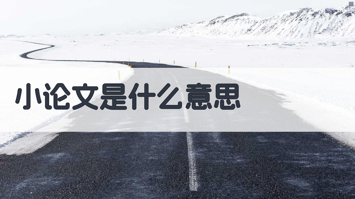 AI小论文概念解释器