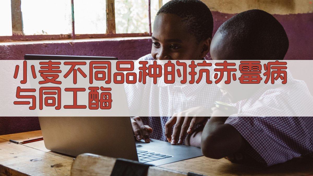 小麦赤霉病抗性与同工酶分析