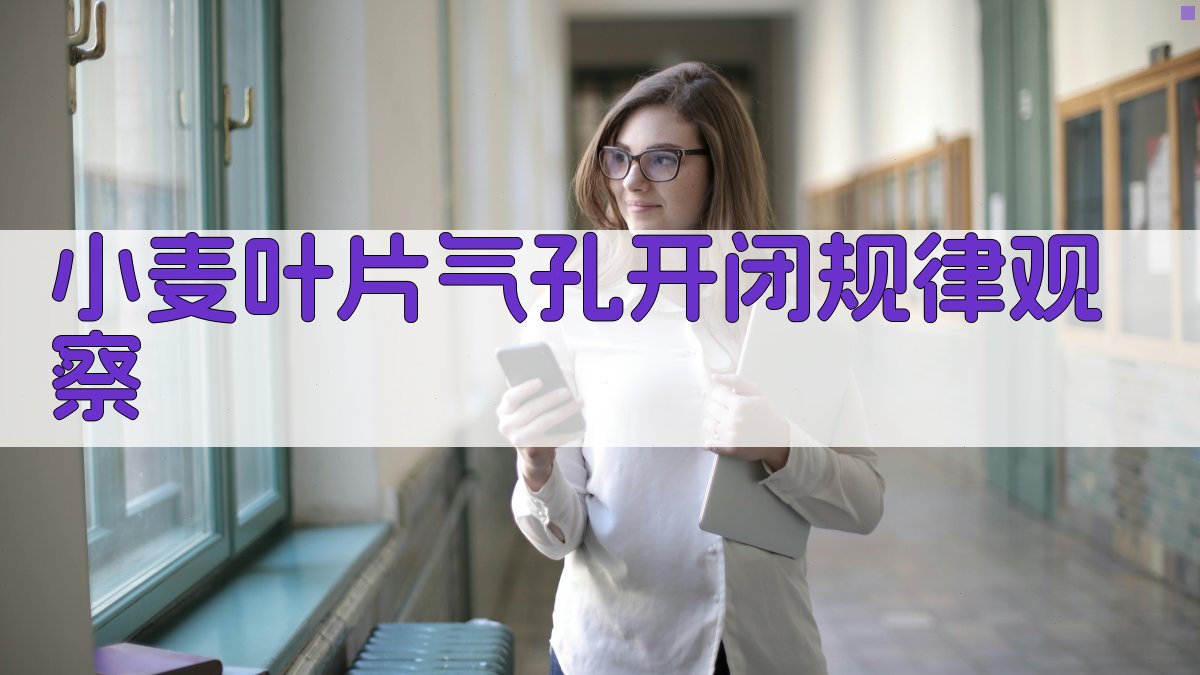 小麦叶片气孔开闭规律观察助手