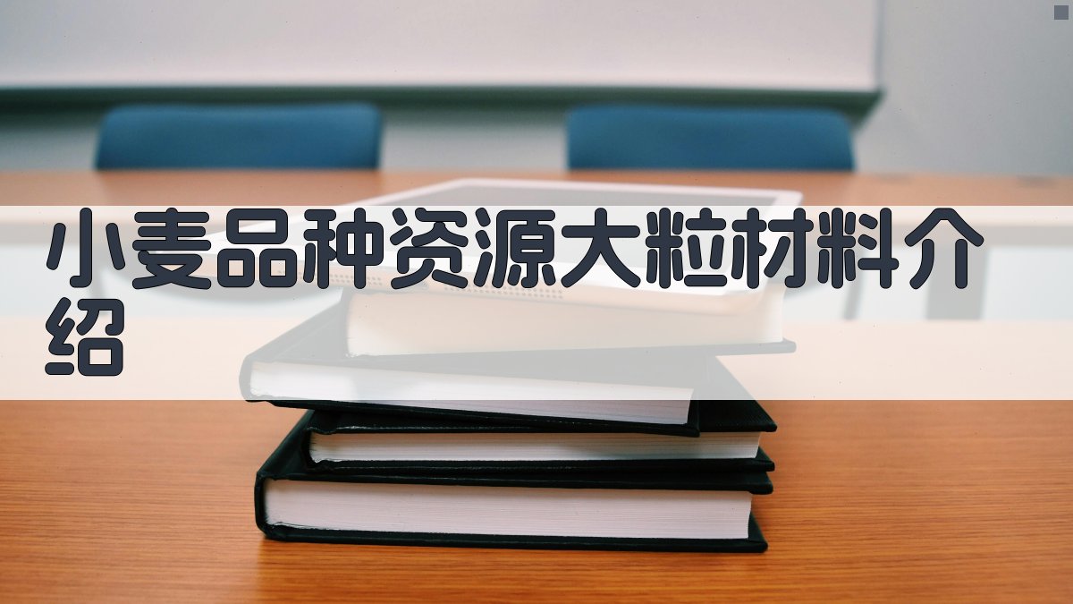 AI小麦品种资源大粒材料研究助手