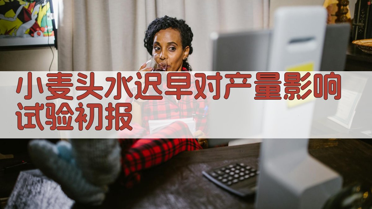 小麦头水试验报告