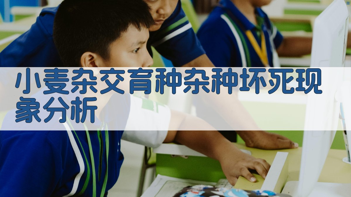 AI小麦杂交育种杂种坏死现象分析