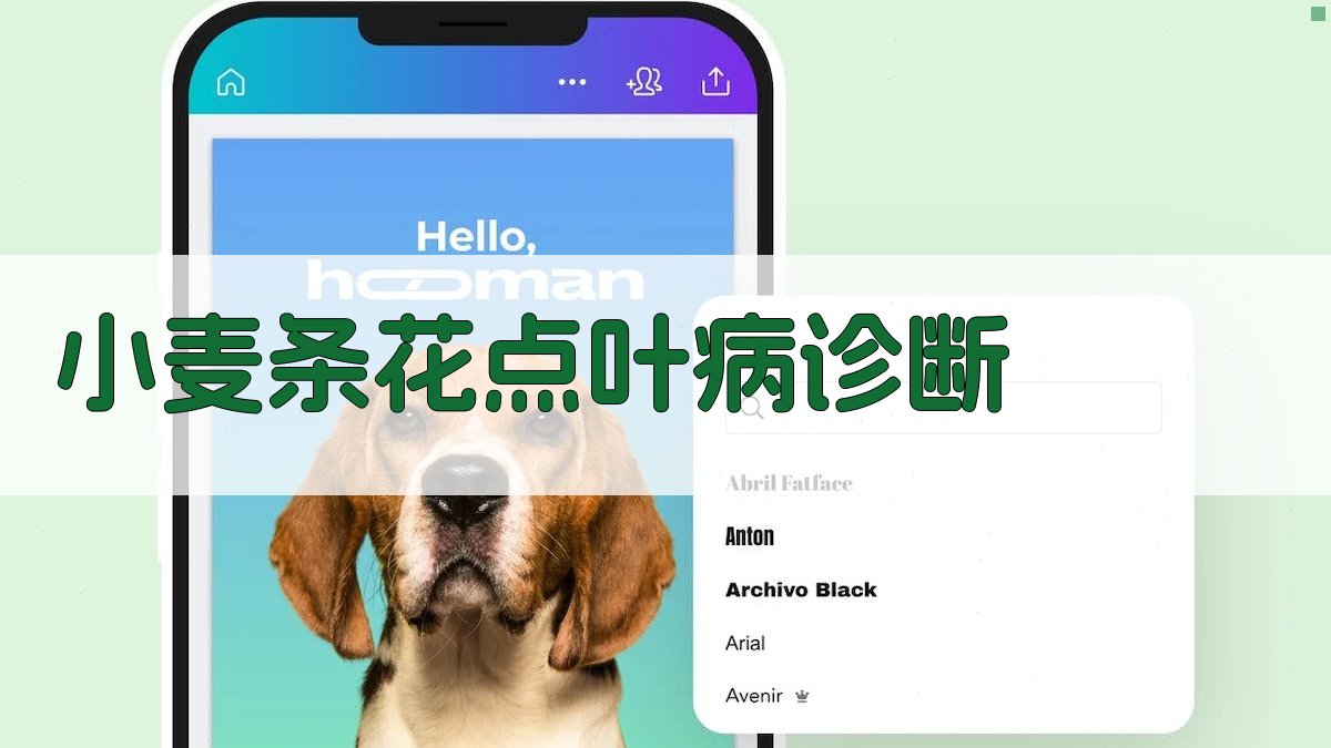 小麦条花点叶病智能诊断