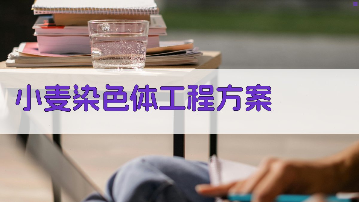 AI小麦染色体工程方案设计