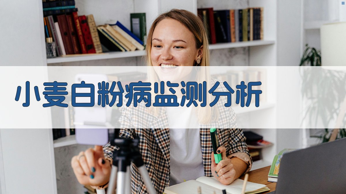 小麦白粉病监测分析