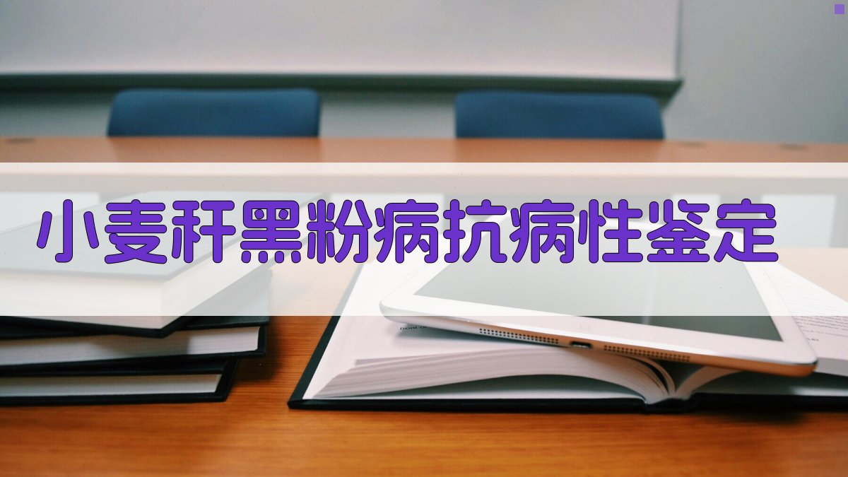 小麦抗病性鉴定