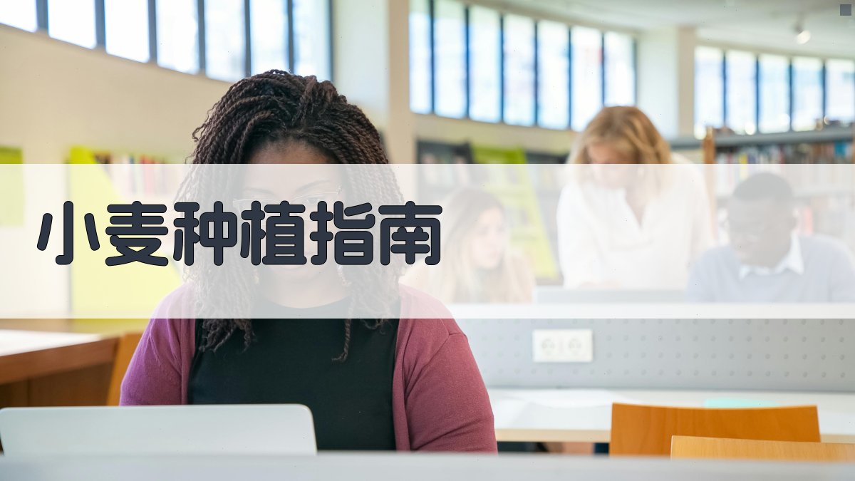 AI智能小麦种植指南生成器