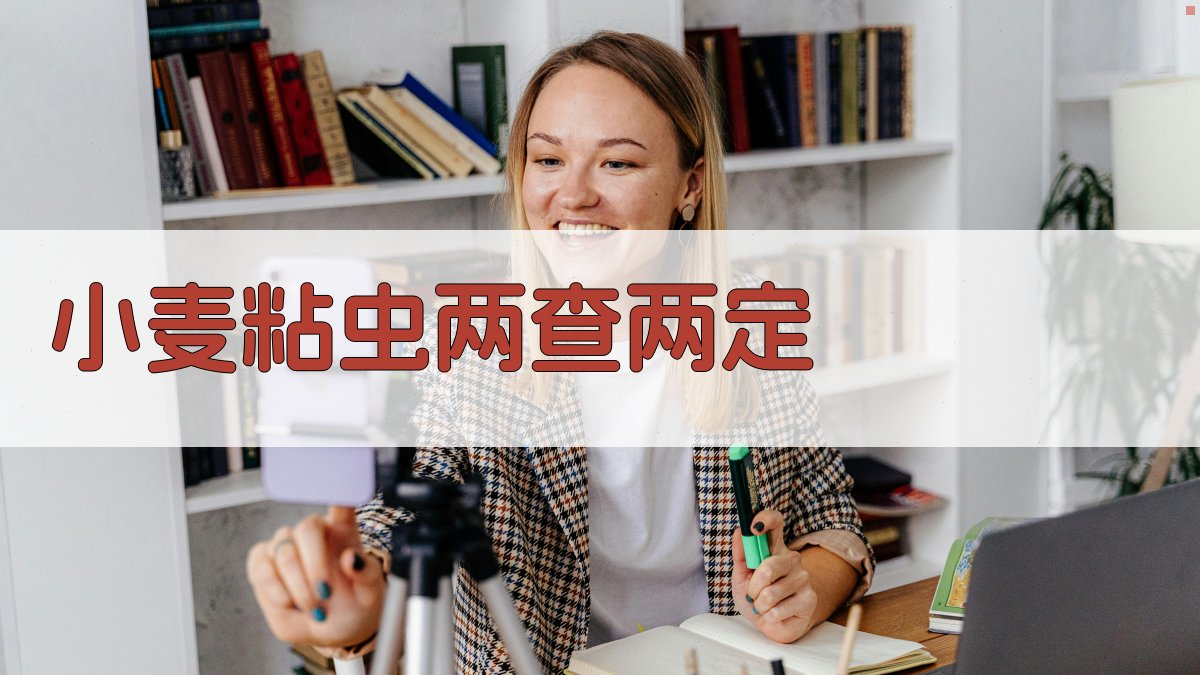 小麦粘虫两查两定技术