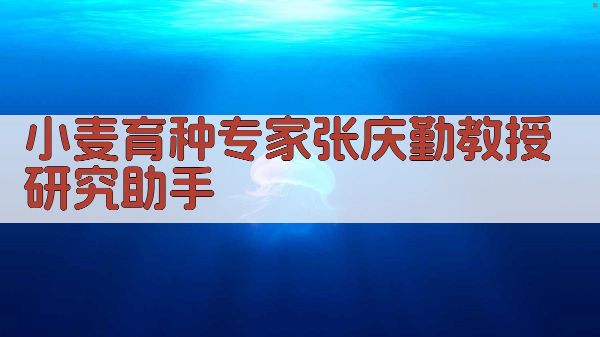 小麦育种专家张庆勤教授研究助手