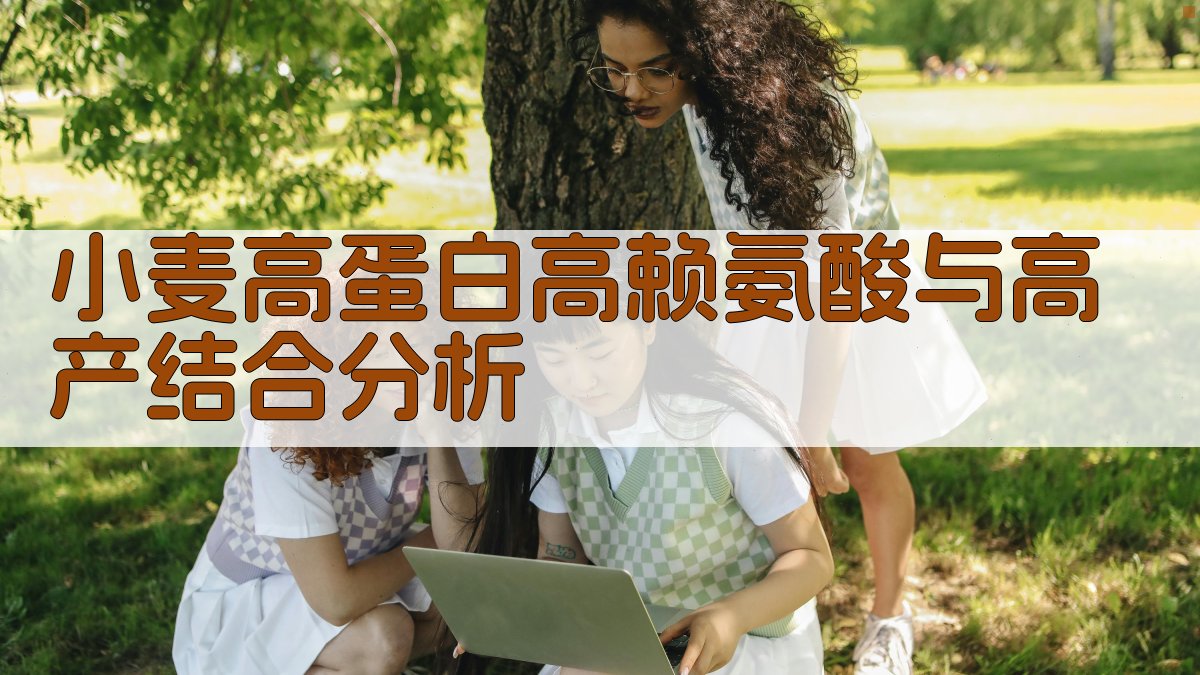 小麦高蛋白高赖氨酸与高产结合的可能性分析