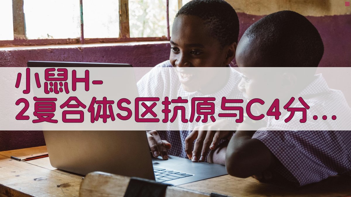 AI小鼠H-2复合体S区抗原与C4分子关系分析工具