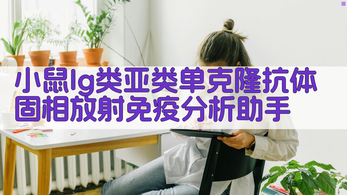 小鼠Ig类亚类单克隆抗体固相放射免疫分析助手