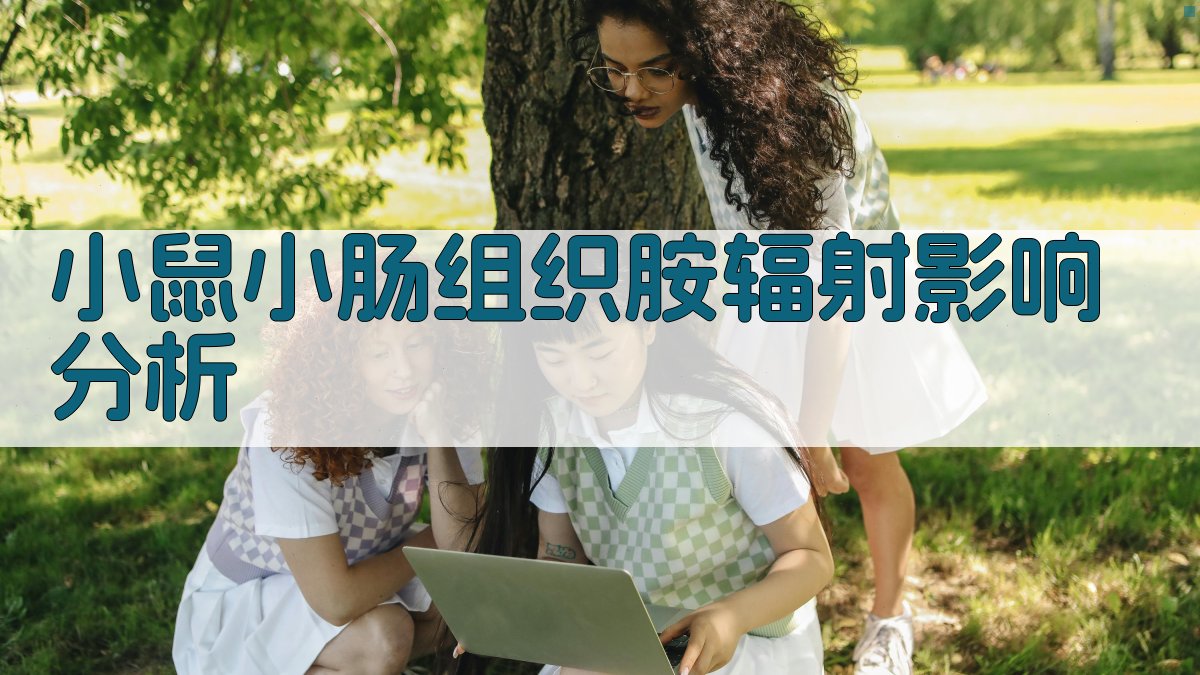 小鼠小肠组织胺辐射影响分析