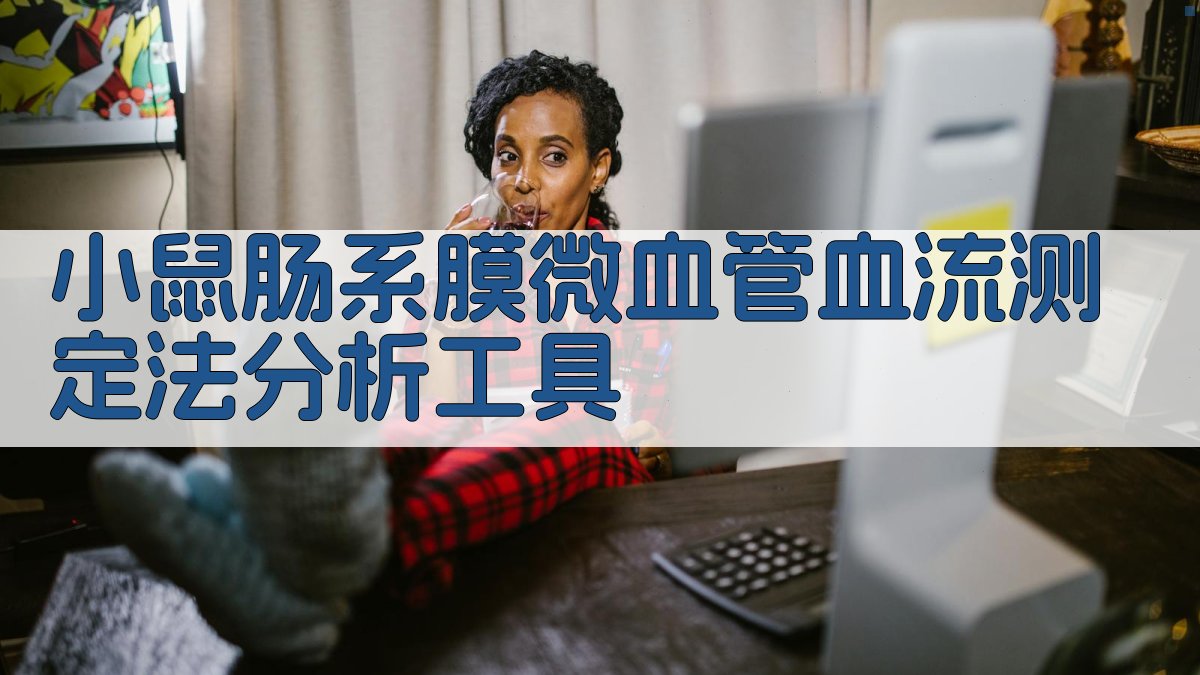 小鼠肠系膜微血管血流测定法分析工具