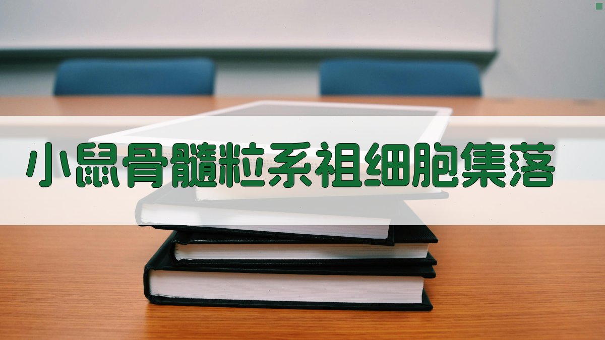 小鼠骨髓粒系祖细胞集落分析