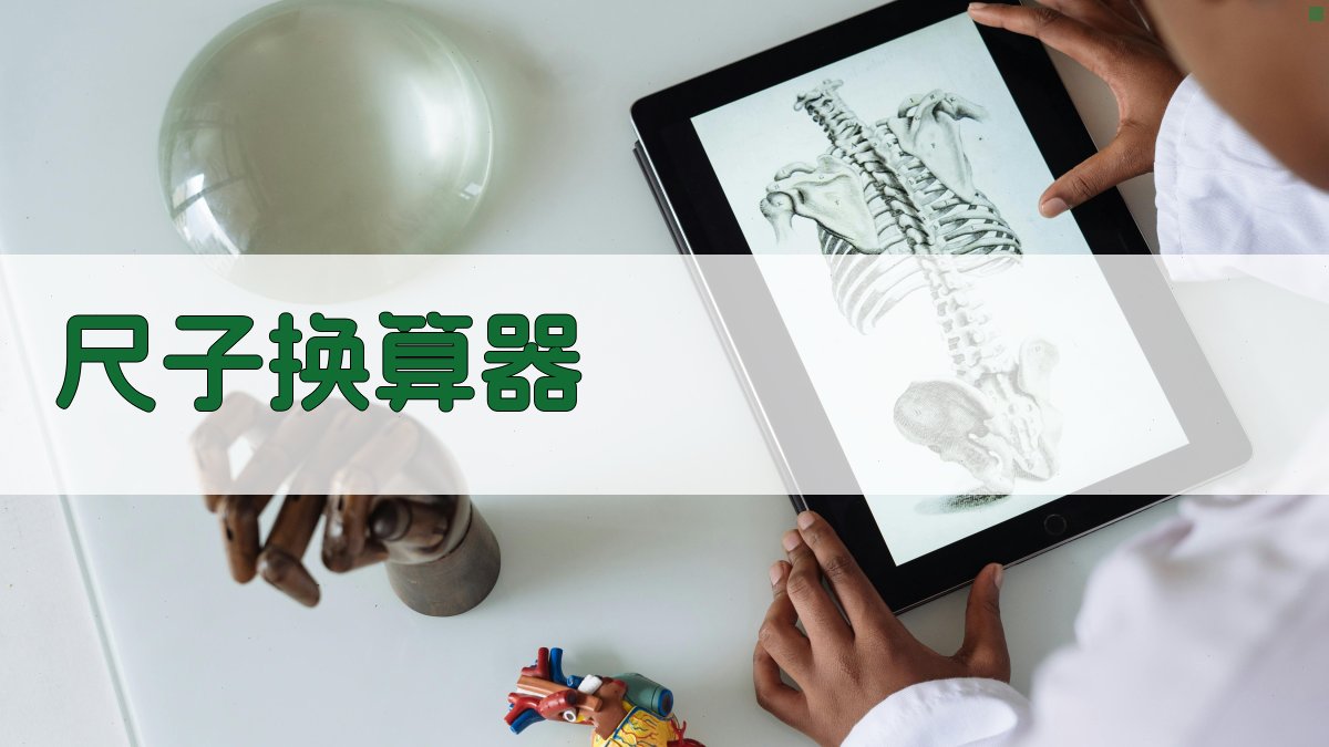 AI智能尺子换算