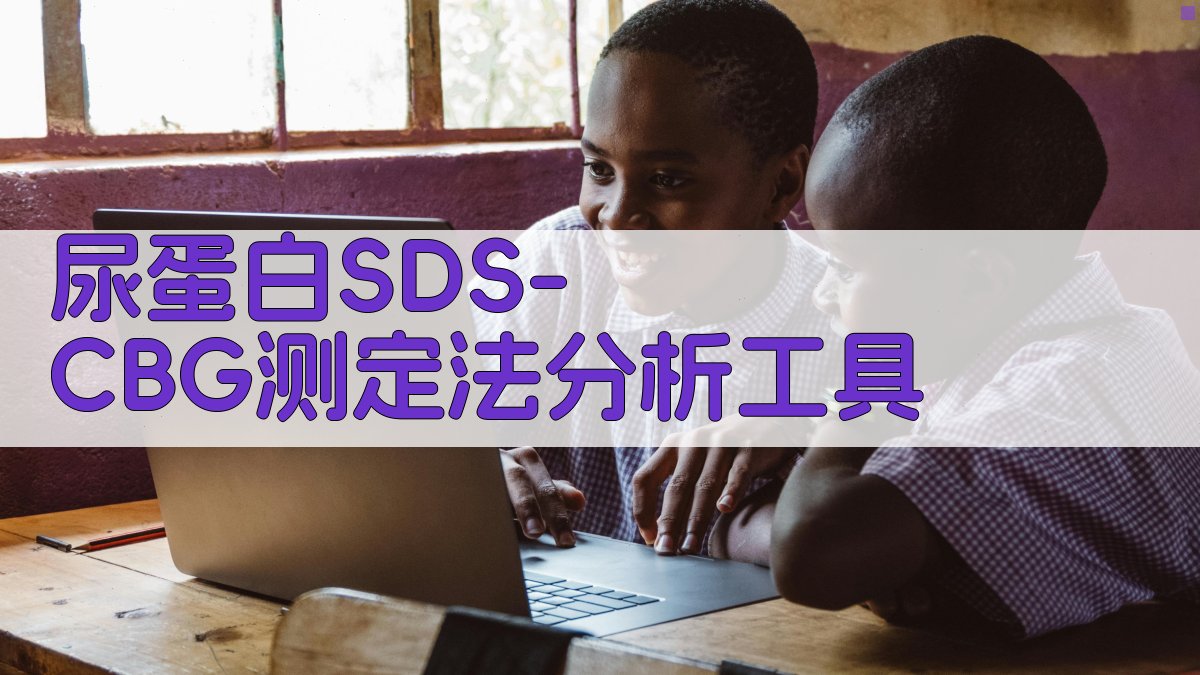 尿蛋白SDS-CBG测定法分析工具