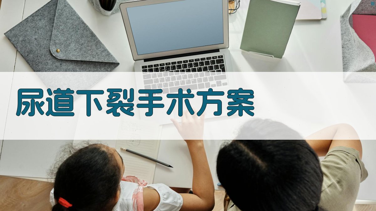 AI智能尿道下裂手术方案生成器