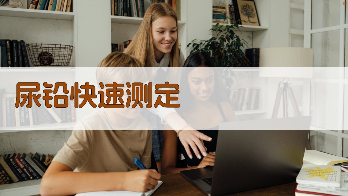 AI尿铅快速测定工具